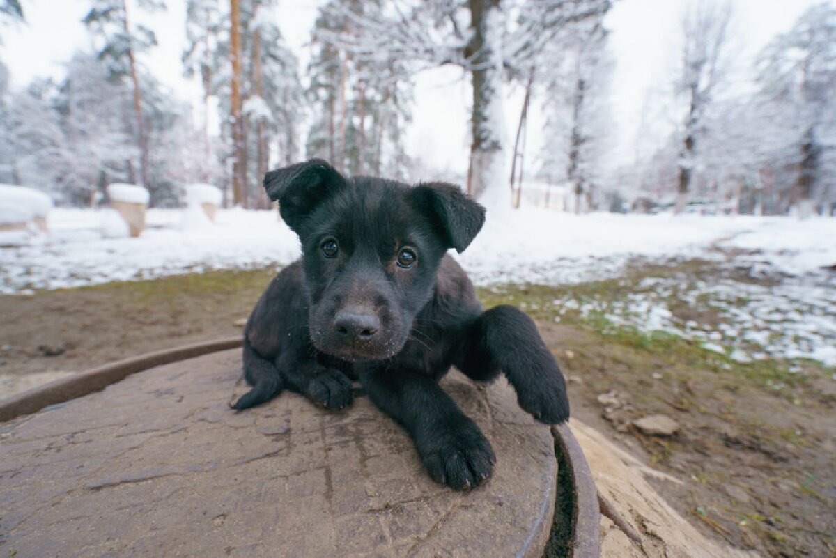   Фото: istockphoto.com