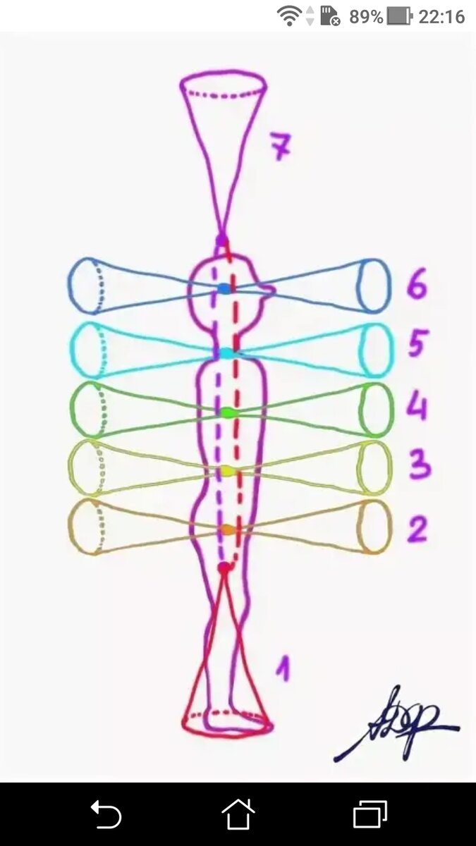 Энергия человека схема. Схема вращения чакр. Чакры и энергетические потоки. Движение энергии в чакрах. Чакры вихри.