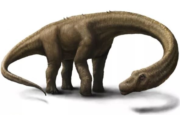 Динозавр дредноут (Dreadnoughtus)(Источник: livescience.com)