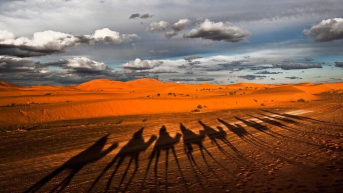 Фото из интернета