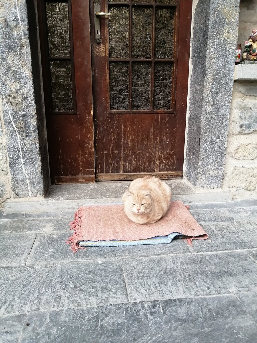 Вот такой gattino в форме хлебушка встретился мне в Корнелло-дей-Тассо