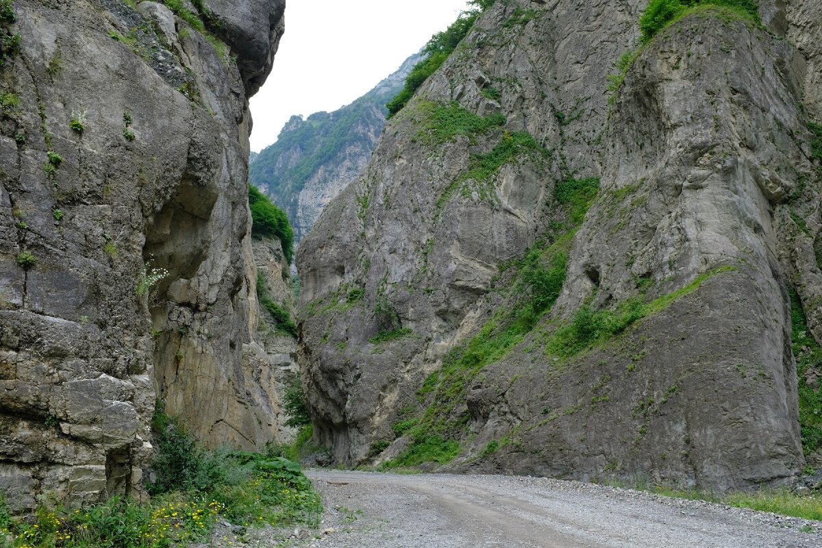 фото из личного архива