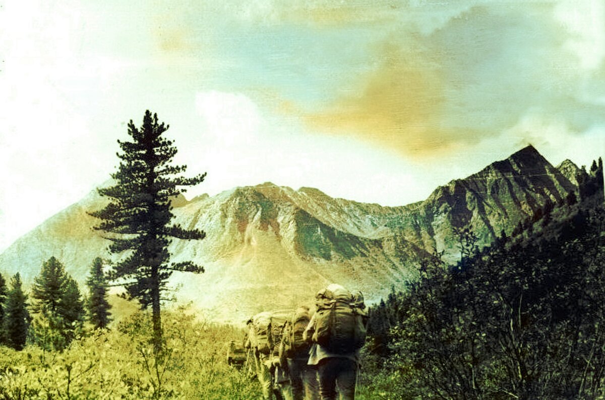 Вверх по Арлык -Голу