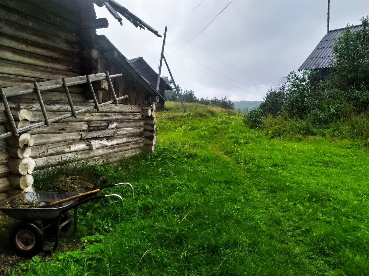 Разведка полузаброшенных деревень Вологодчины, неподалеку от нашего дома