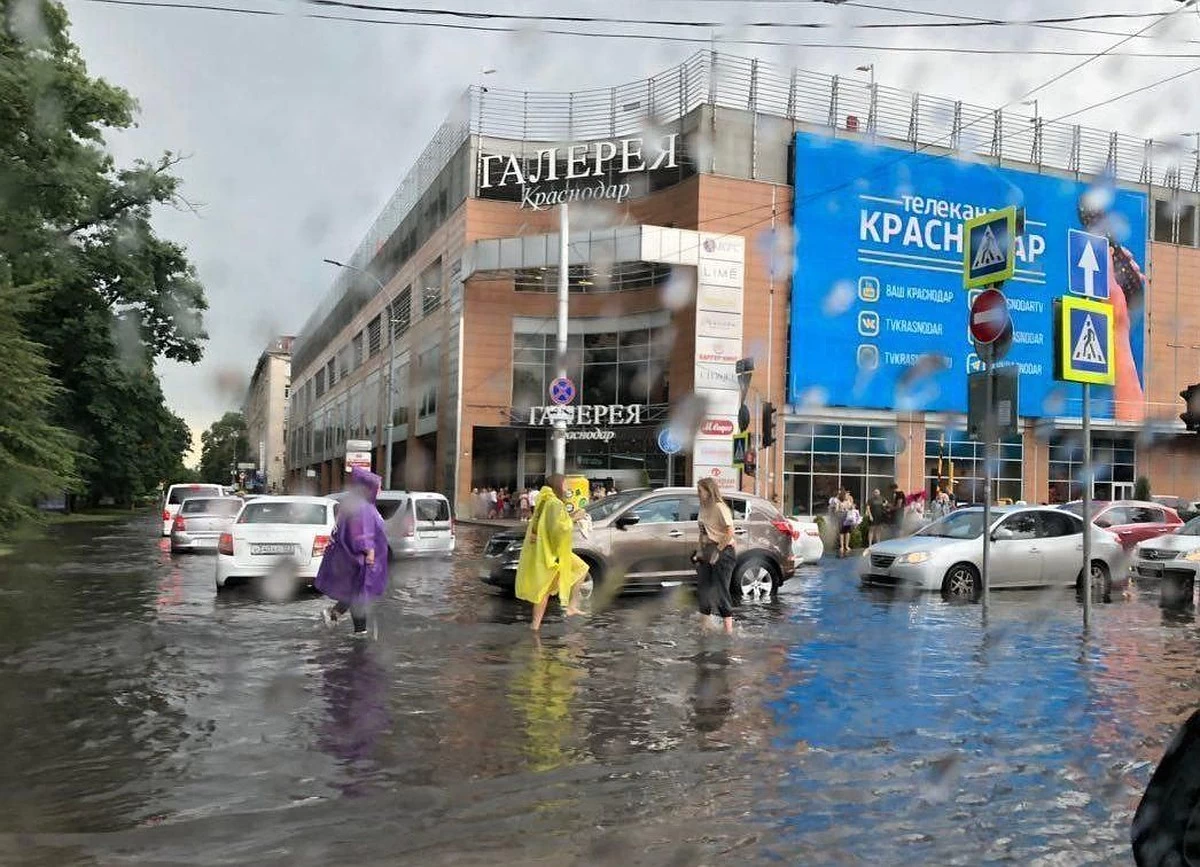 Плюсы и минусы проживания в Краснодаре, рассказ коренного жителя | Блог  коренной Кубаночки | Дзен