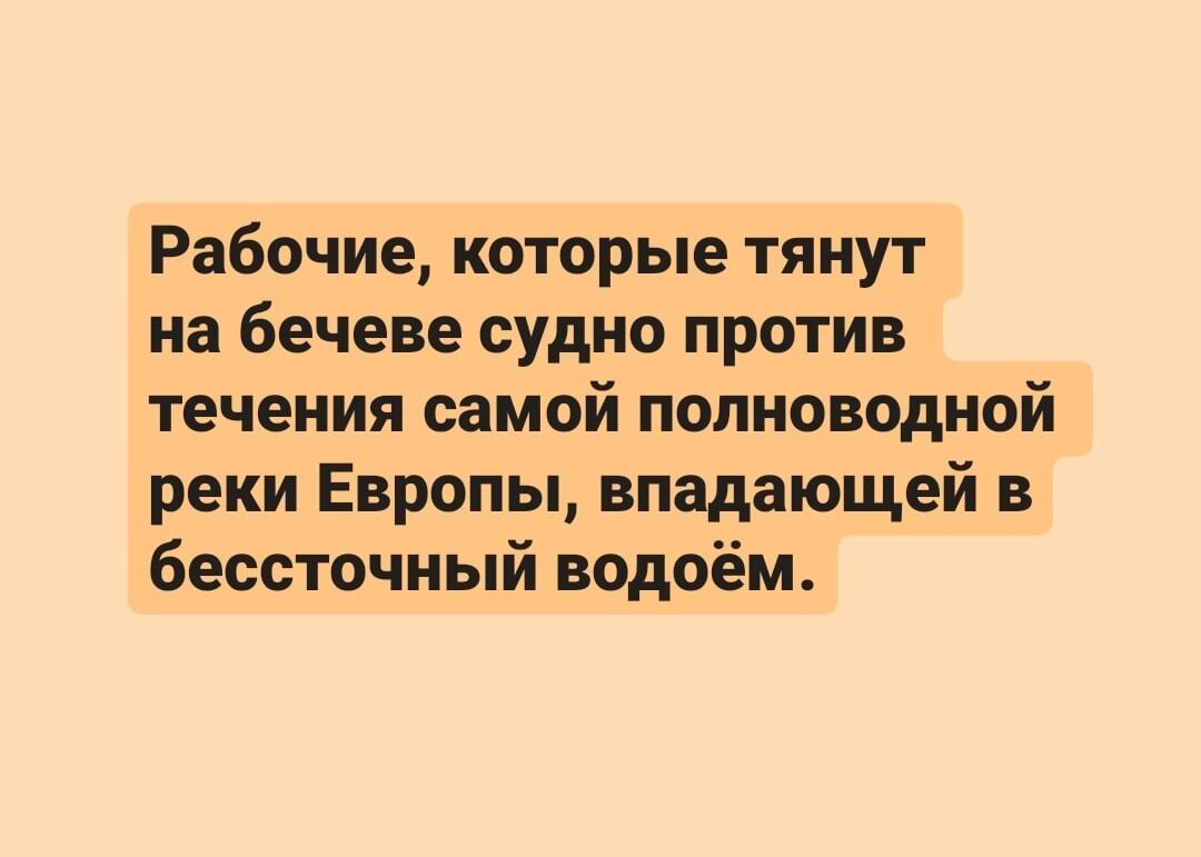 Ответ в слайде под загадкой, листайте!