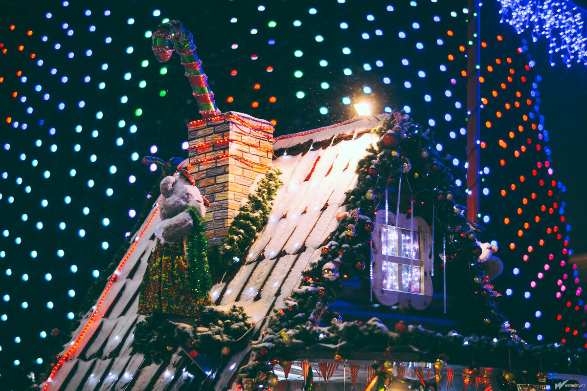 Фото интернета