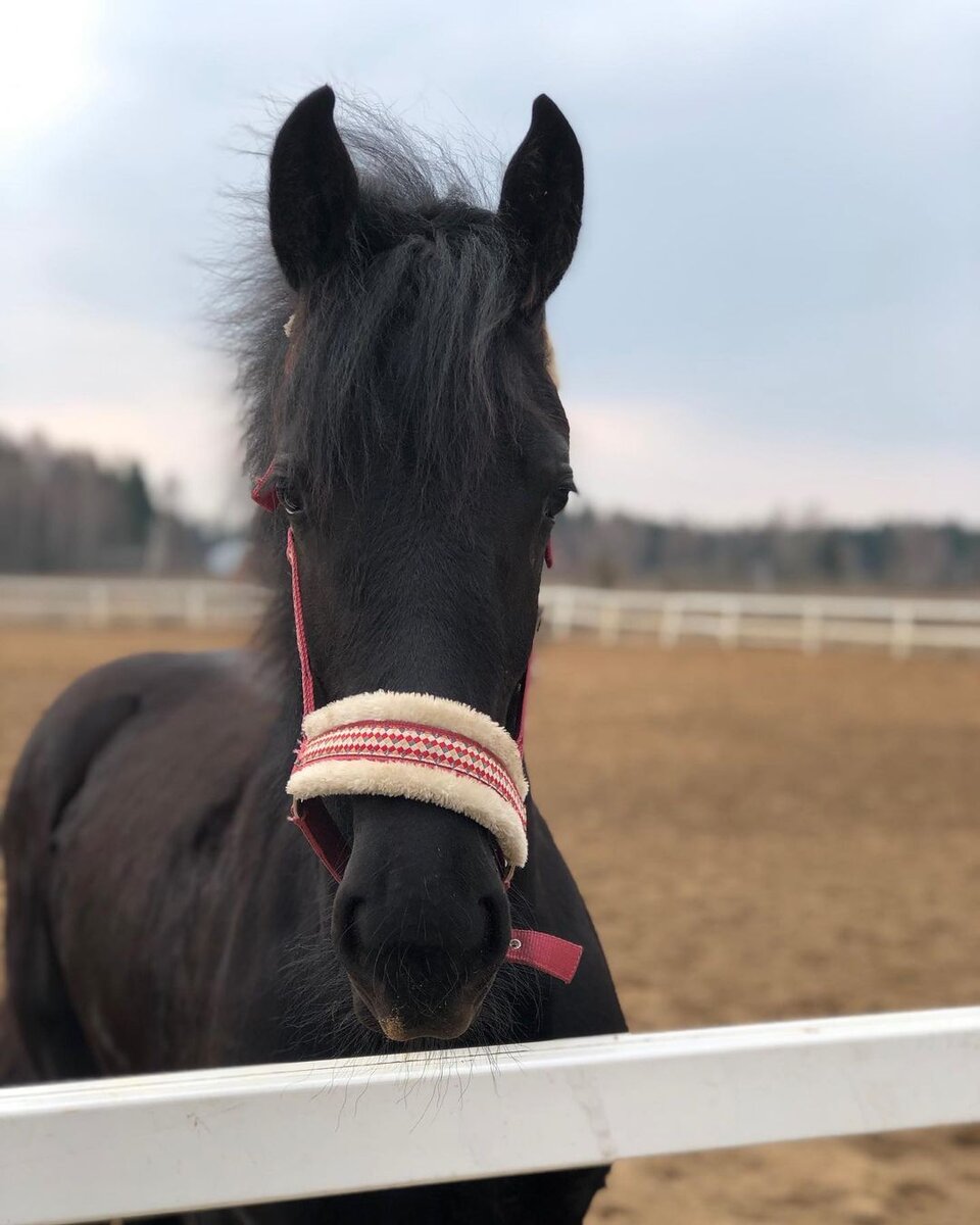 Николь 8 месяцев.