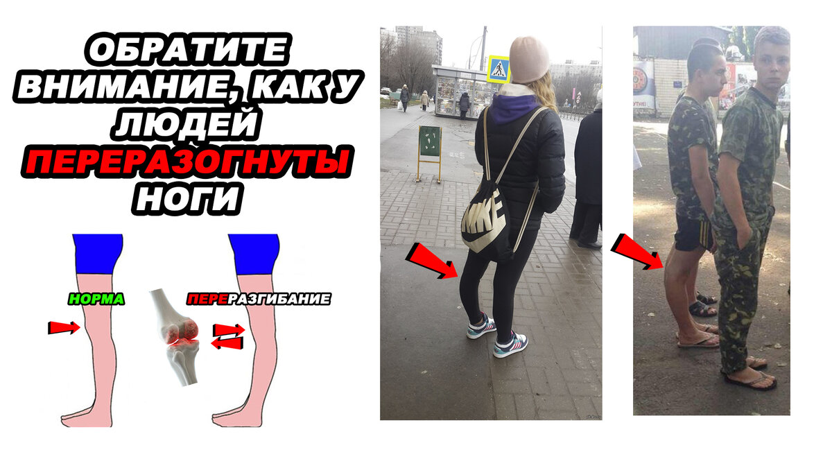 Автор - Пенкин Егор/Fit.Therapy.Official