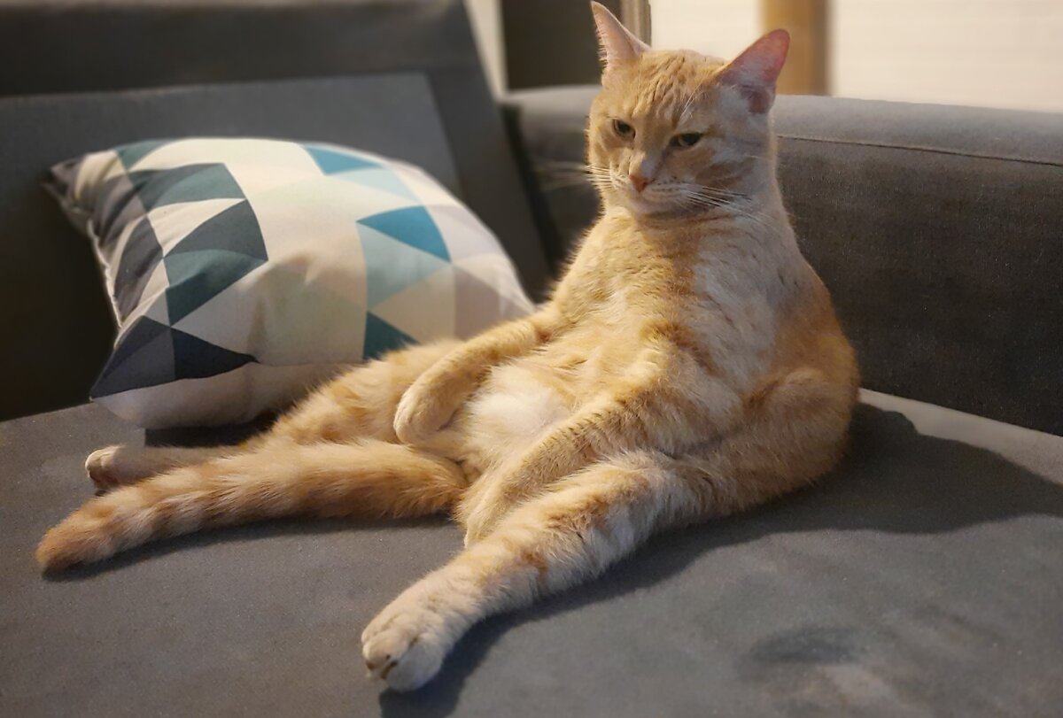 Фото старое, но взгляд все тот же))