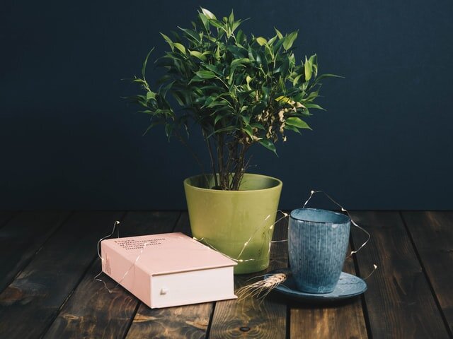 Photo by Anastasia Zhenina on Unsplash