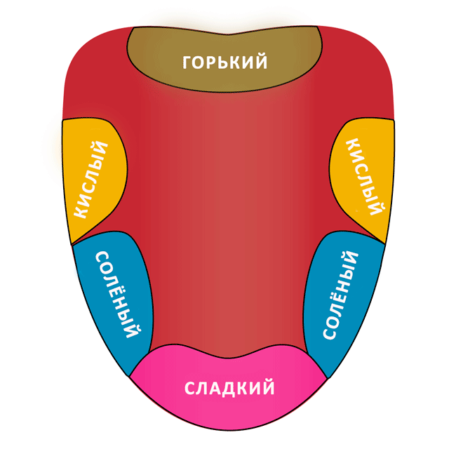 Миф о вкусовой карте