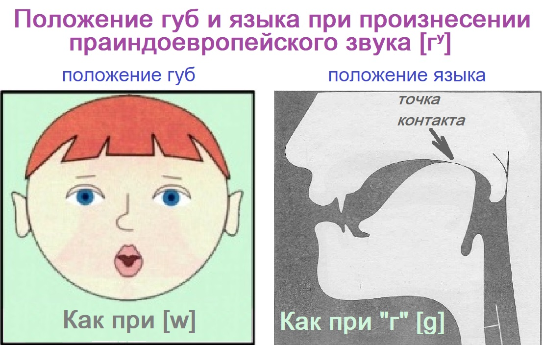 Произнесение звуков. Положение губ при произнесении звука с. Положение губ. Положение губ при произнесении звука ш. Звук и положение губ