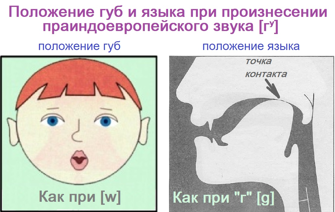 Произнесение звуков. Положение губ при произнесении звука с. Положение губ. Положение губ при произнесении звука ш. Звук и положение губ.