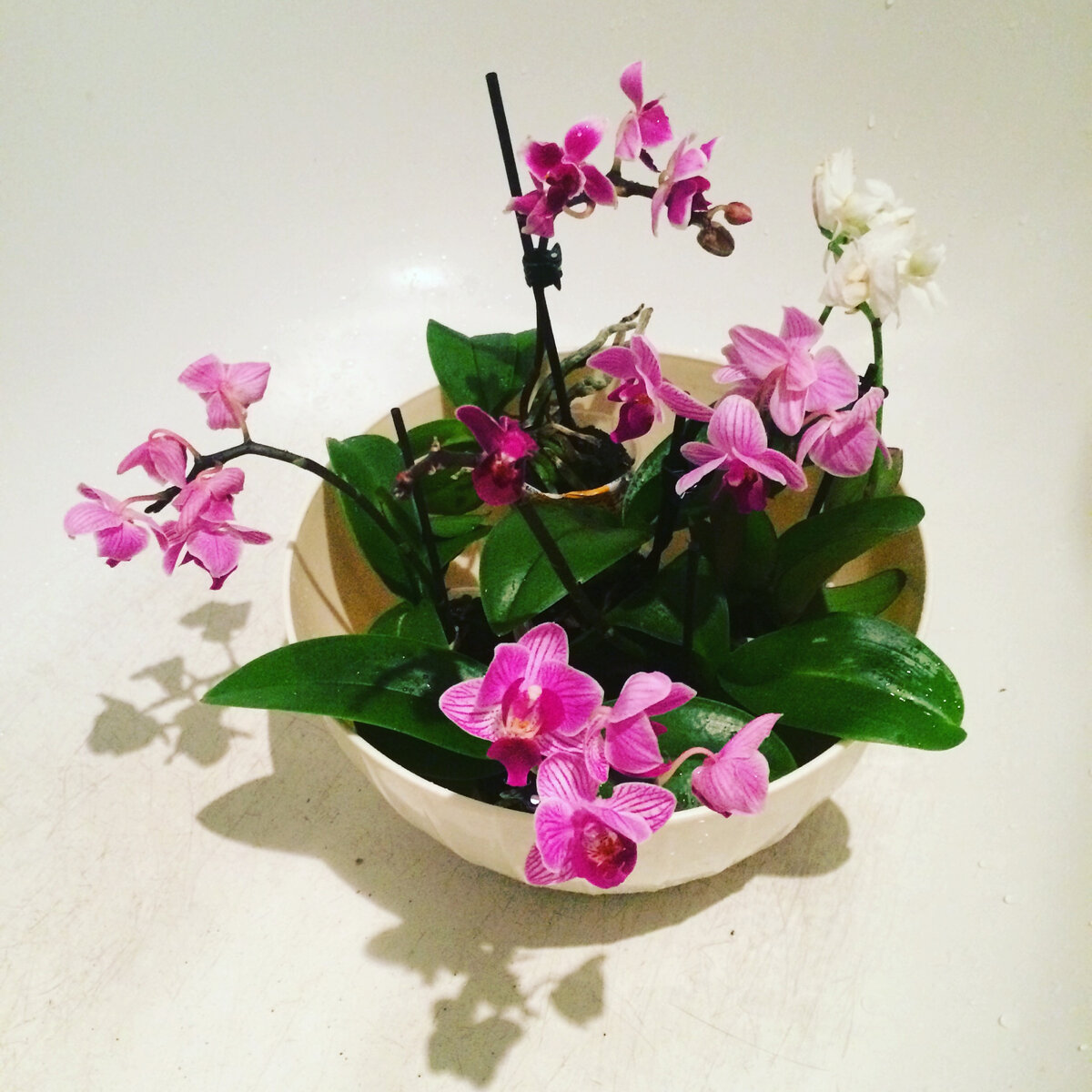 Добыча из уцененки