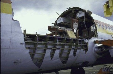 Фото из интернета.