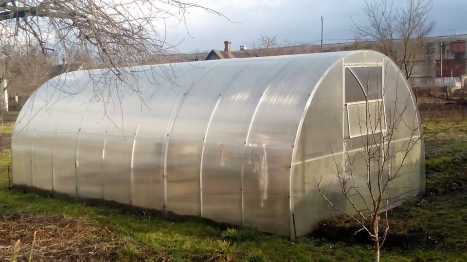 Теплица. Фото автора 