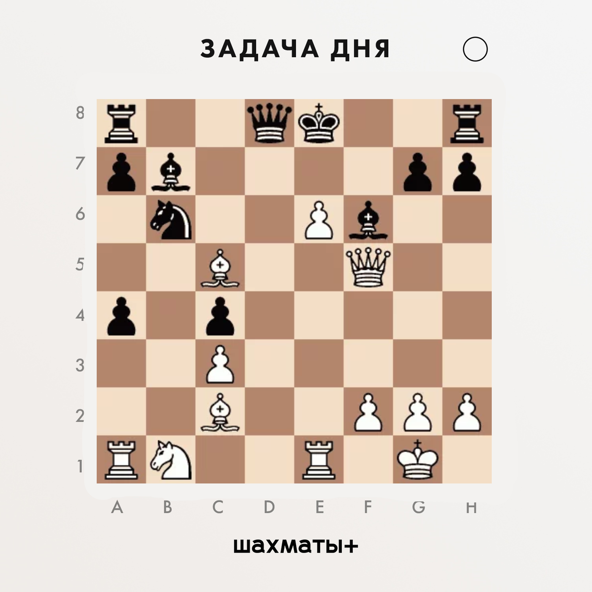 Тарраш vs Куршнера.