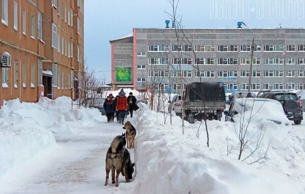 Стрижка для собак в усинске