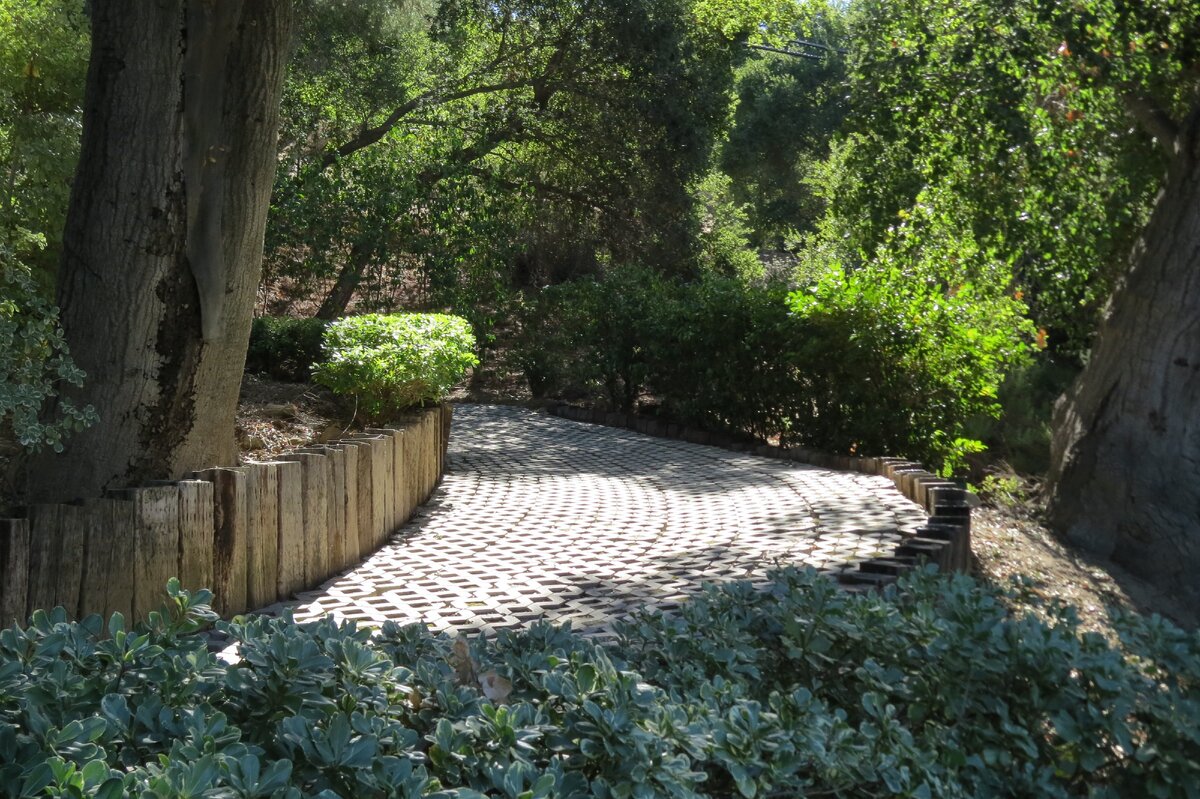 Осень 2020 года. Фото автора. 