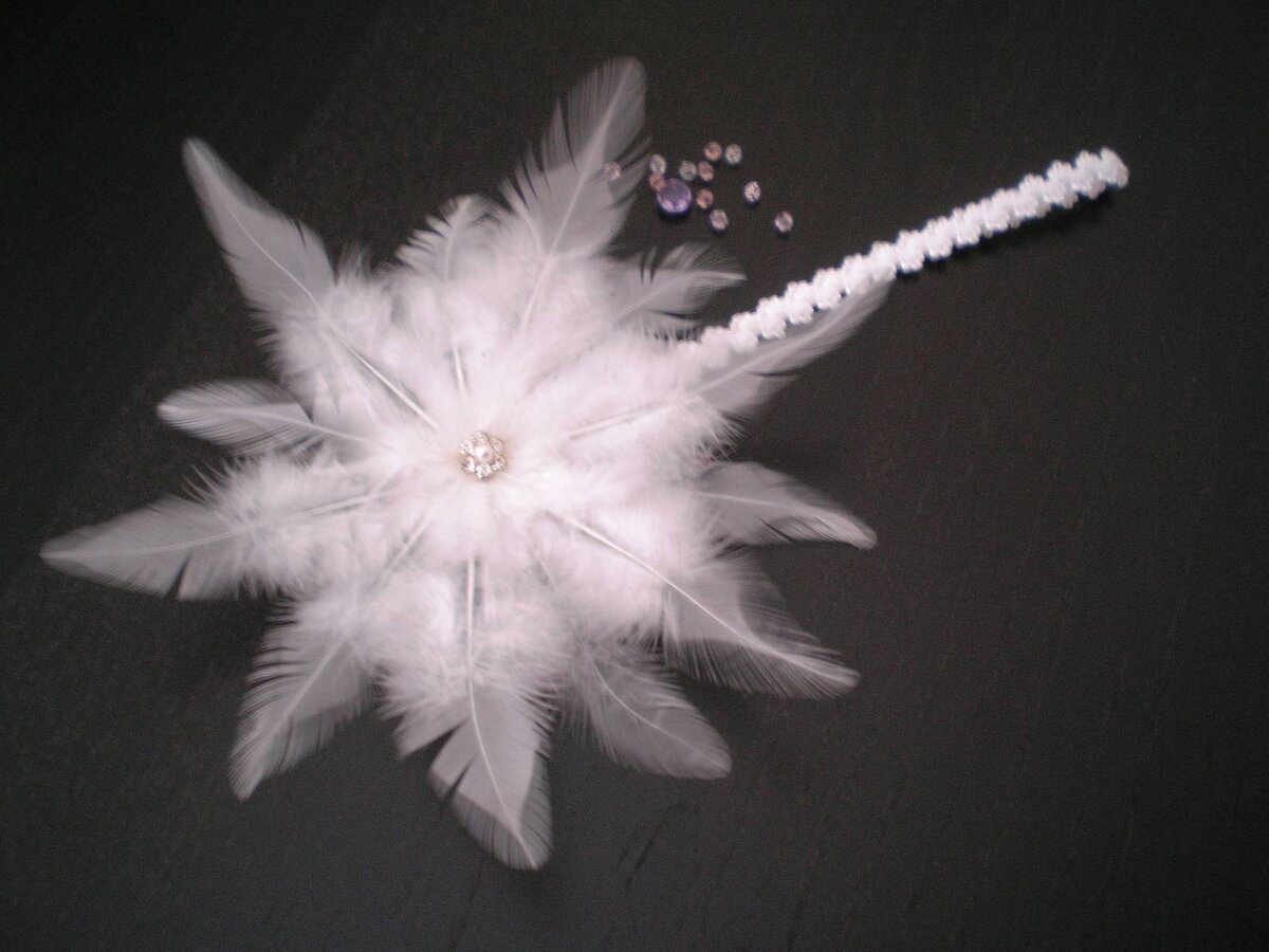 Источник: Картинка взята из общего пользования.