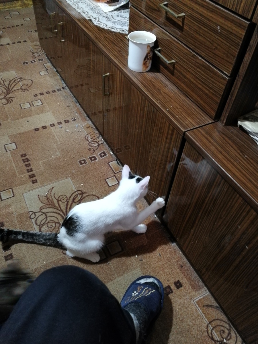 Где-то здесь игрушки. Иди помогать...