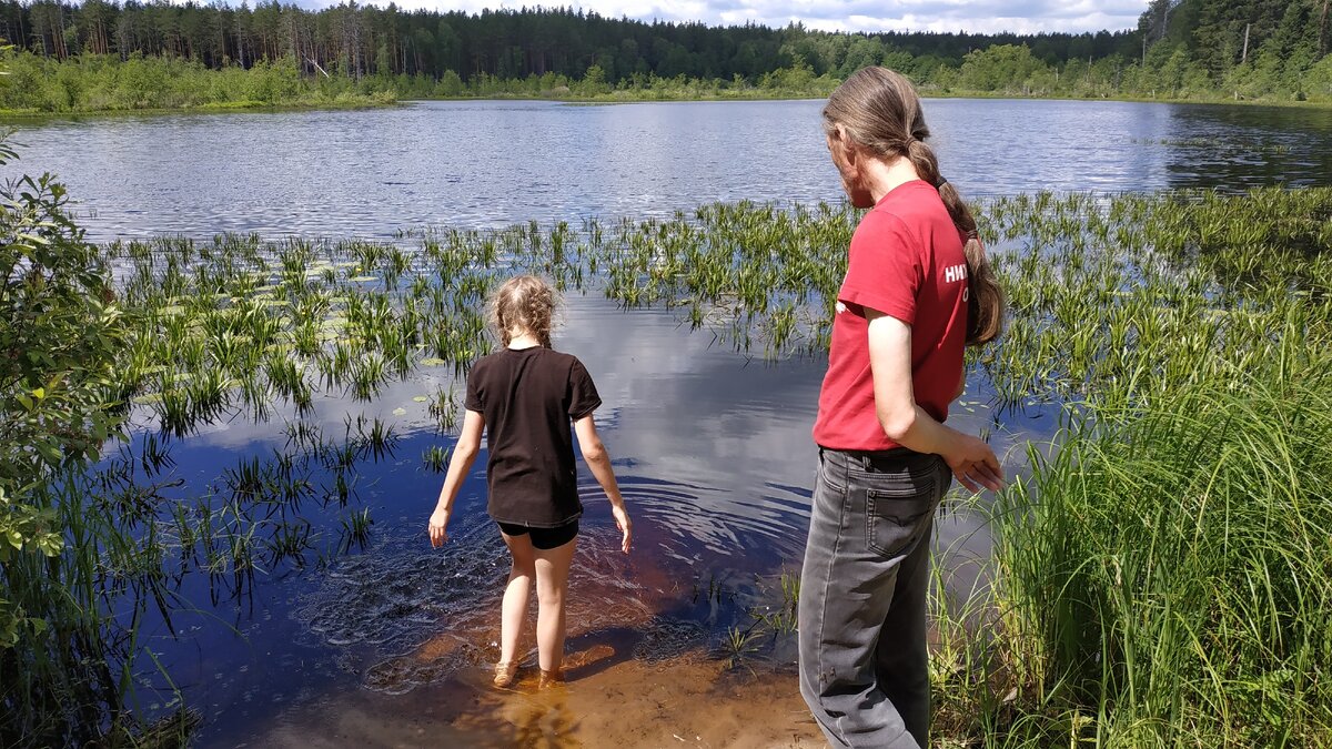 Нормальный подход к воде
