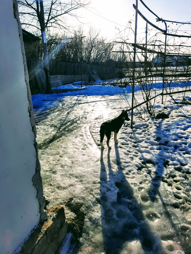 Такой лёд у нас везде... Гуляем по катку...