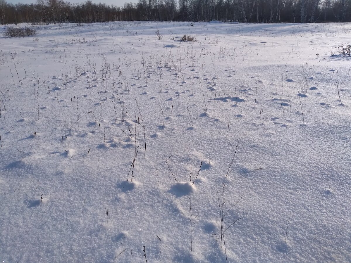 Красиво? Забавные холмики на ровном снегу.