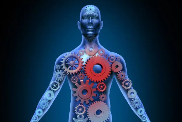 Тело, как слаженный механизм