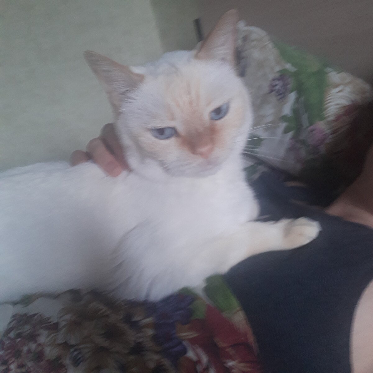 глубоко несчастен...