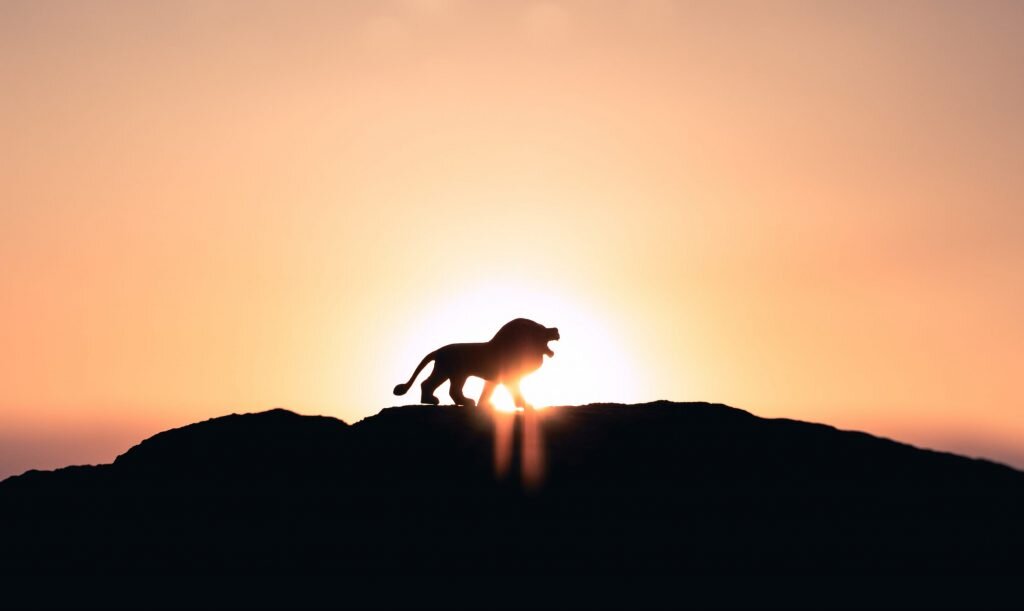 Фото: Ivan Diaz/Unsplash
