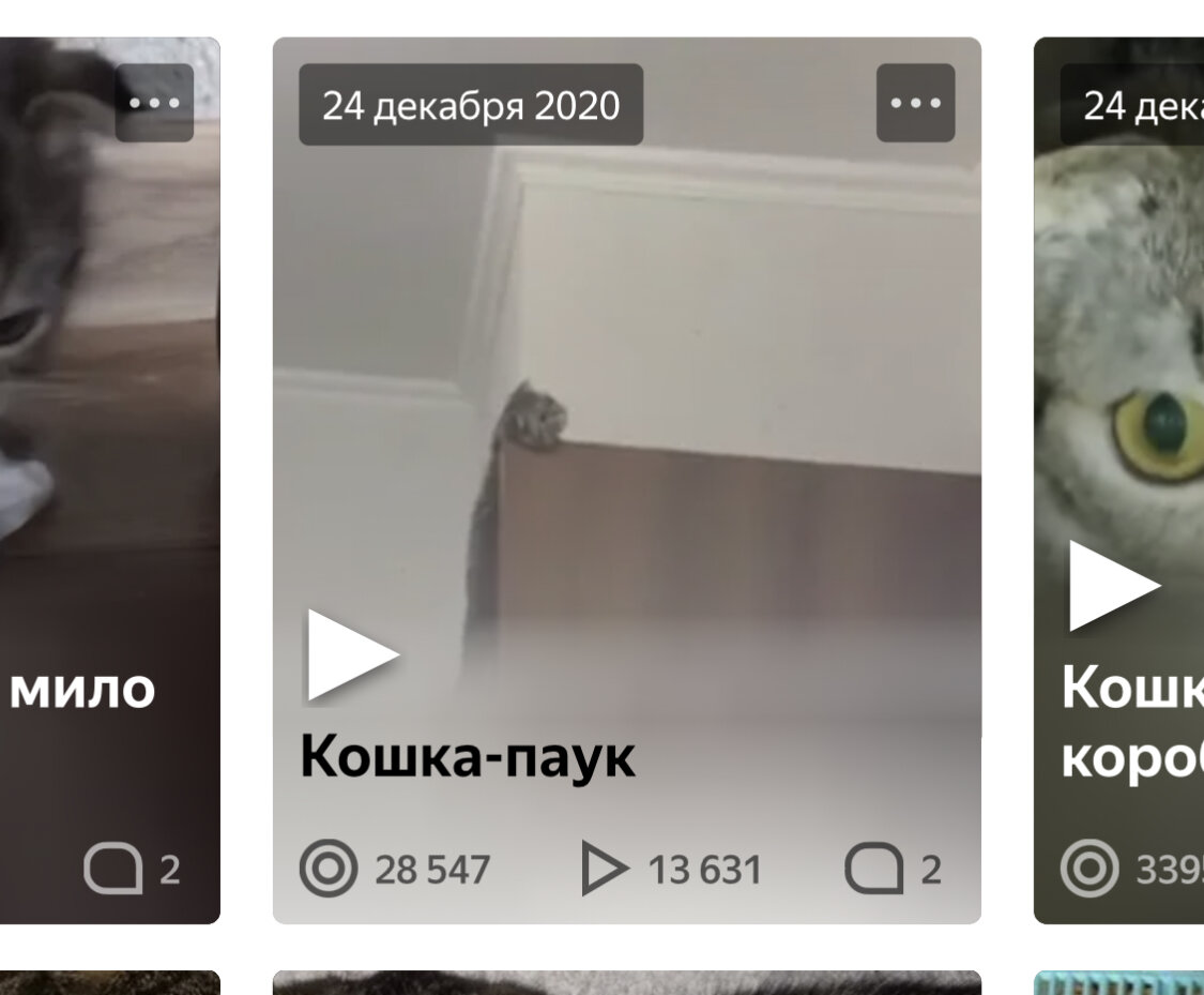 Первая статья которая залетела в топ