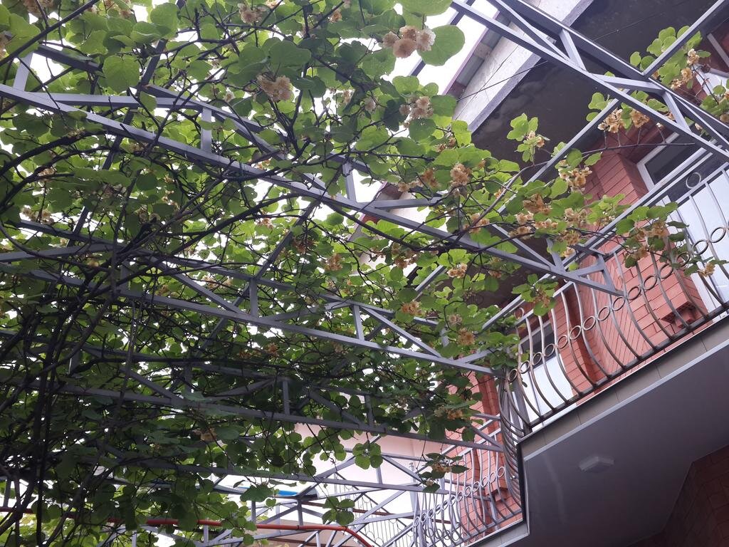 Фото с сайта Booking. Сам я не фотографировал гостевой дом