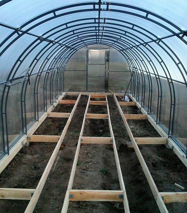 Фото - Яндекс картинки