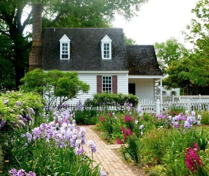 Фото из интернета 