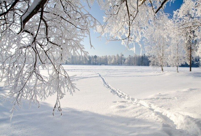 moydom.ru