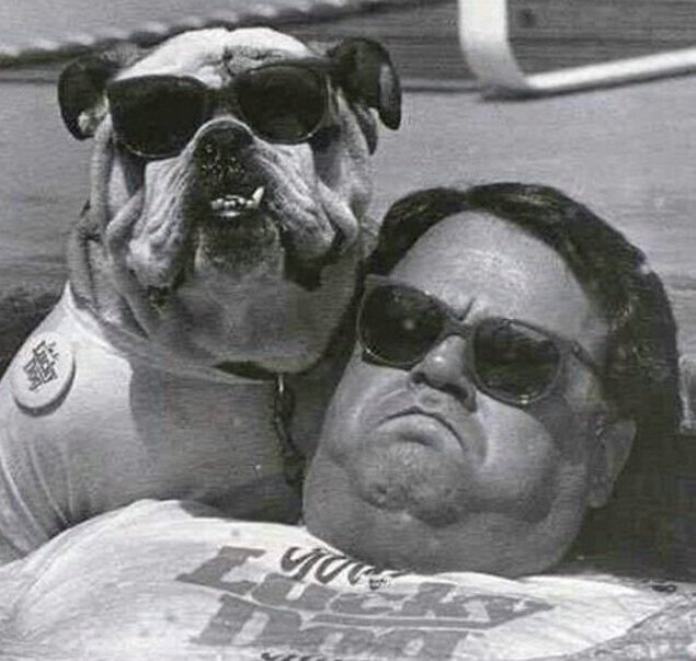 Картинка из интернета