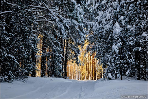 Фото из открытых источников.