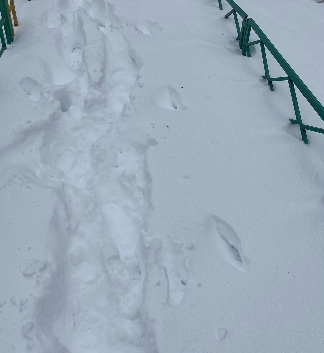 Найди ключи) 