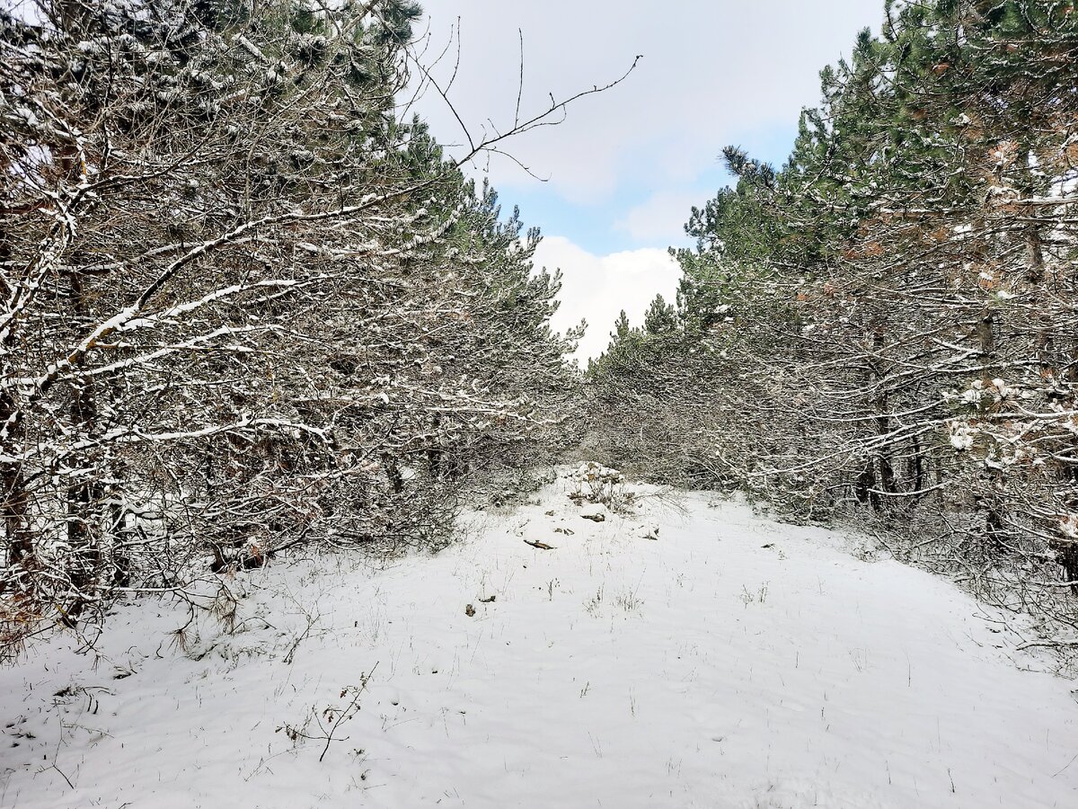 Фото автора канала