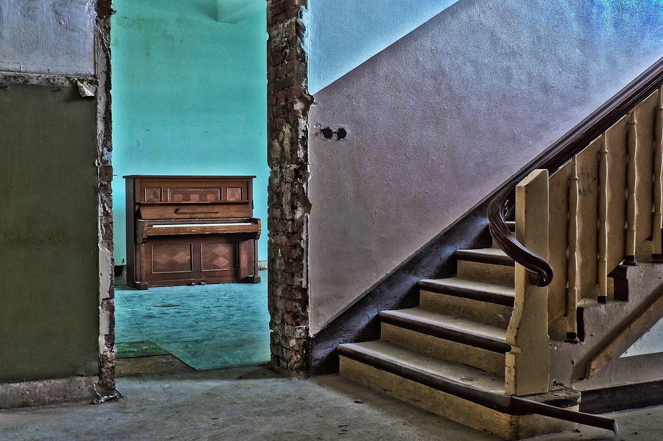 Фото: Pixabay