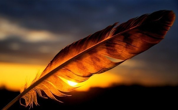  Источник Яндекс. Картинки