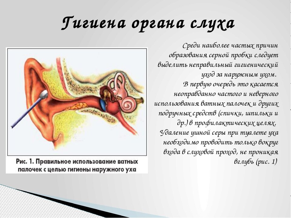 Фото заимствованно у интернета