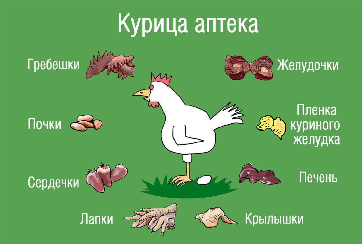 Питания кур