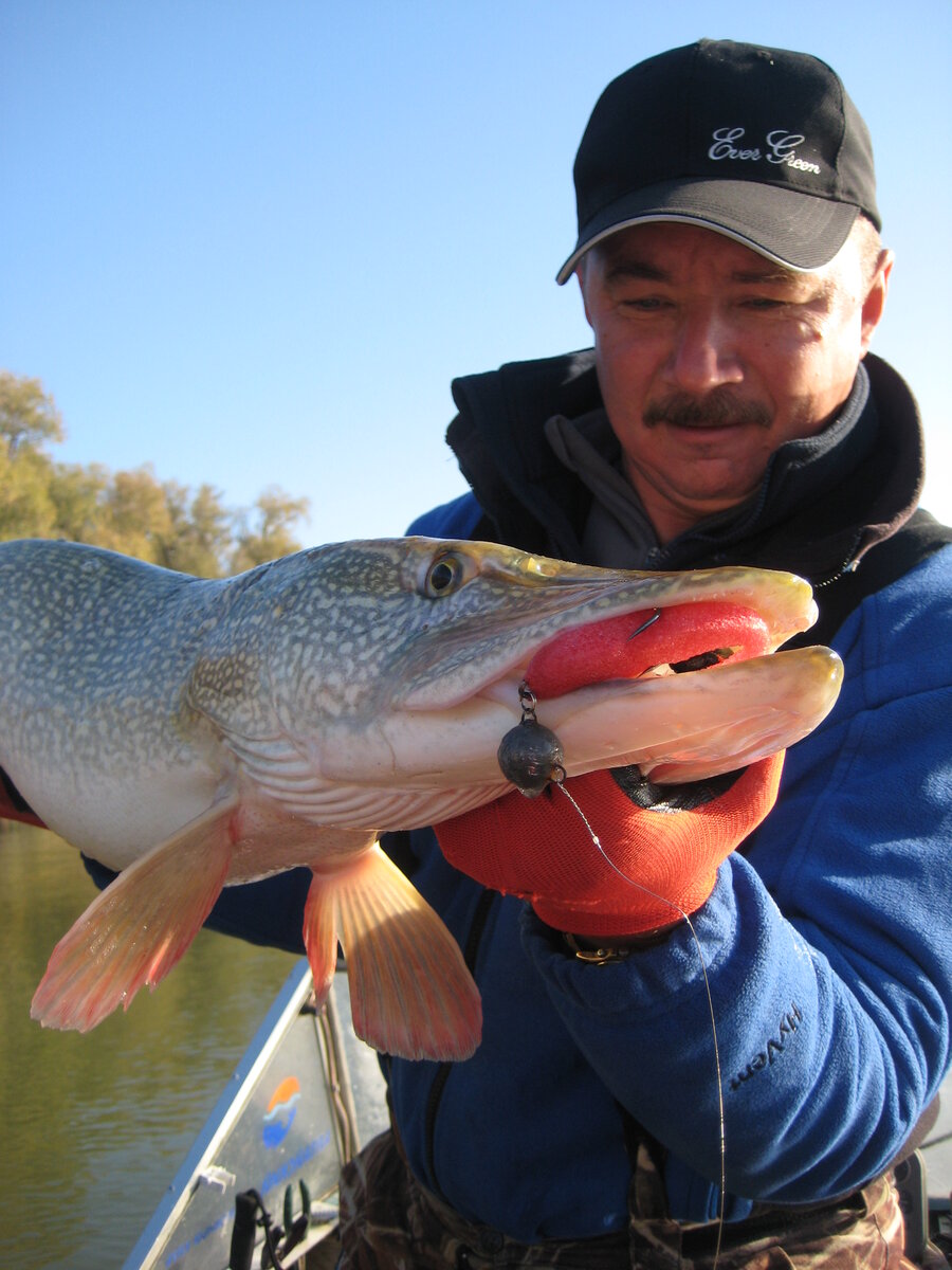 Ослабляйте фрикцион при поимке крупной рыбы. Фото автора.