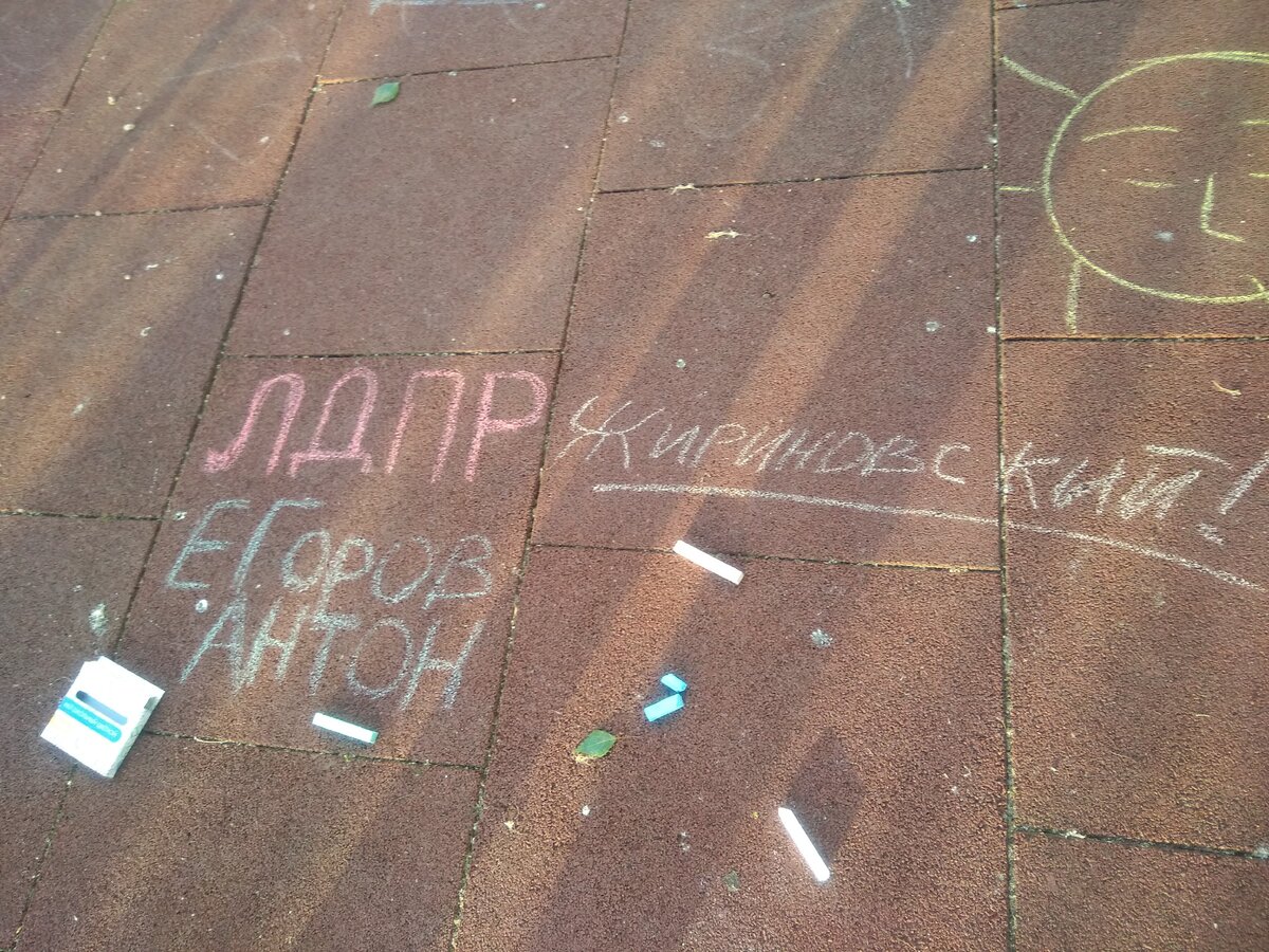 Дети ВЫБИРАЮТ ЛДПР   Антон Олегович Егоров                  DEAO.ru