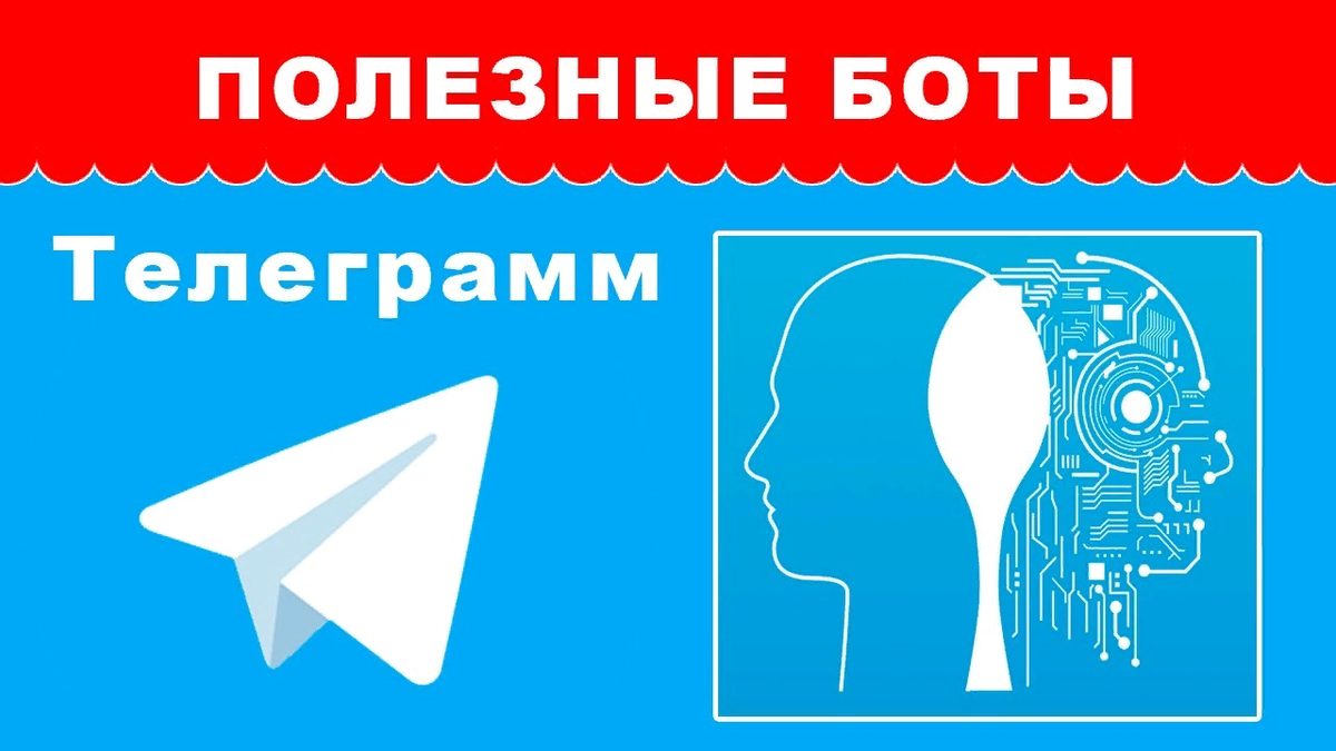 Полезные видео. Полезные боты. Полезный бот. Полезные Telegram боты. Полезнее телеграмм боты