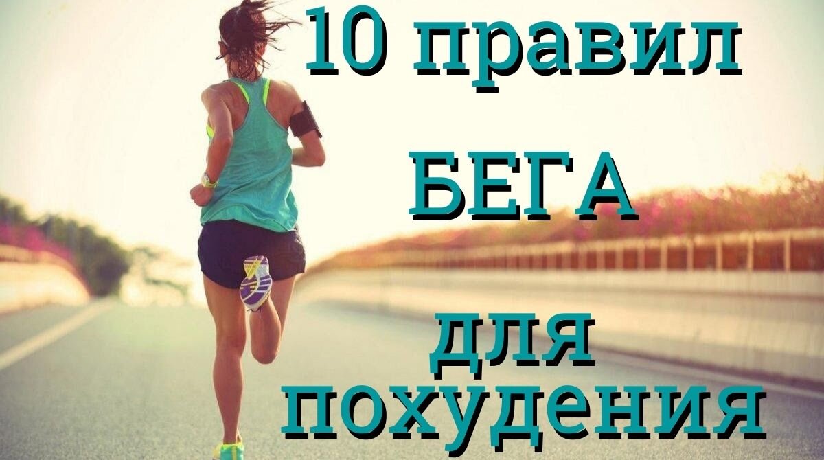 Антон Авокадо YOUTUBE 