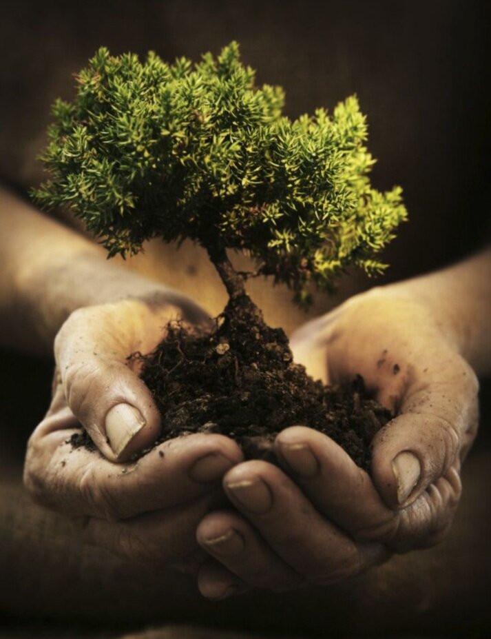 Картинка из открытых источников 